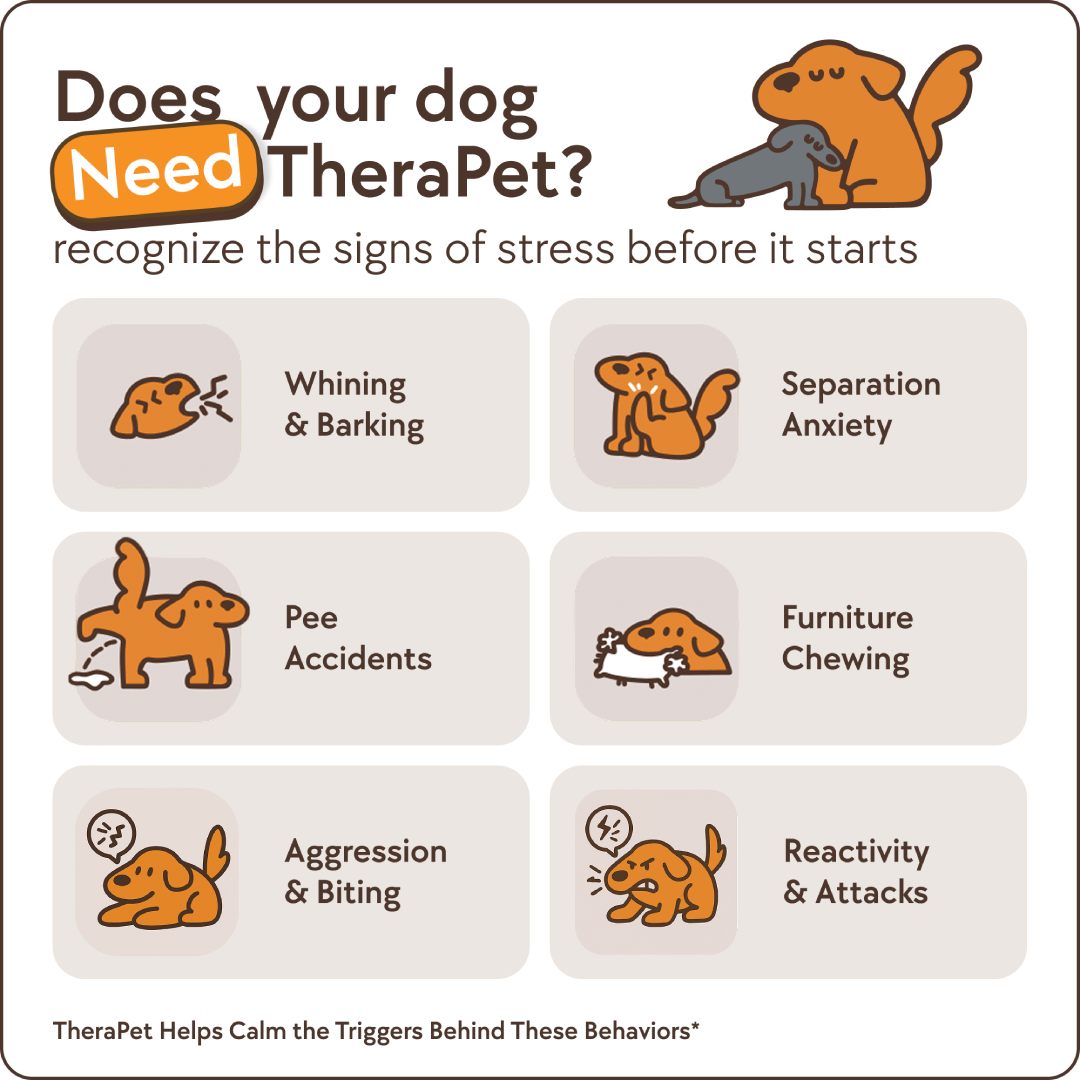 Beruhigungs-Diffusor-Set für Hunde