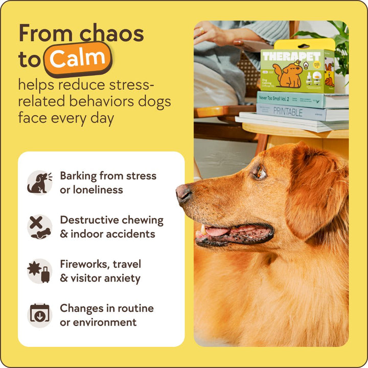 Beruhigungs-Diffusor-Set für Hunde