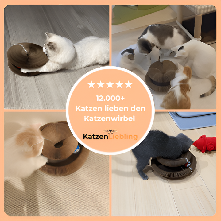 CatTwist™ – Interaktiver Kratzplatz gegen Langeweile bei Katzen