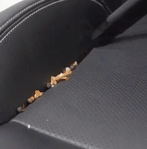 MultiVacu 3.0™ - 2 in 1 tragbarer Premium-Staubsauger