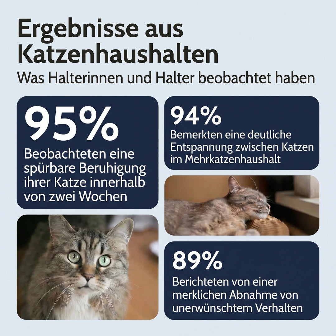 Calmora™ – Beruhigungsdiffusor für stressfreie, ausgeglichene Katzen