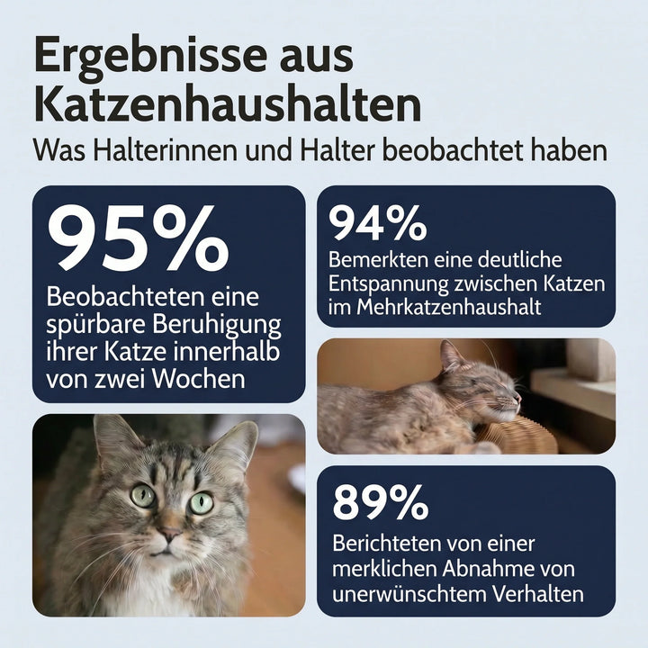 Calmora™ – Beruhigungsdiffusor für stressfreie, ausgeglichene Katzen