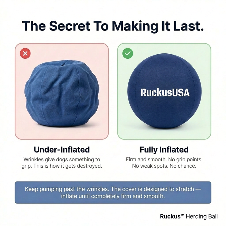 Ruckus™ Hüteball