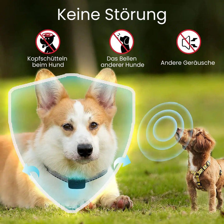 Hundebellhalsband | Anti Bell Halsband für Hunde | BellFrei