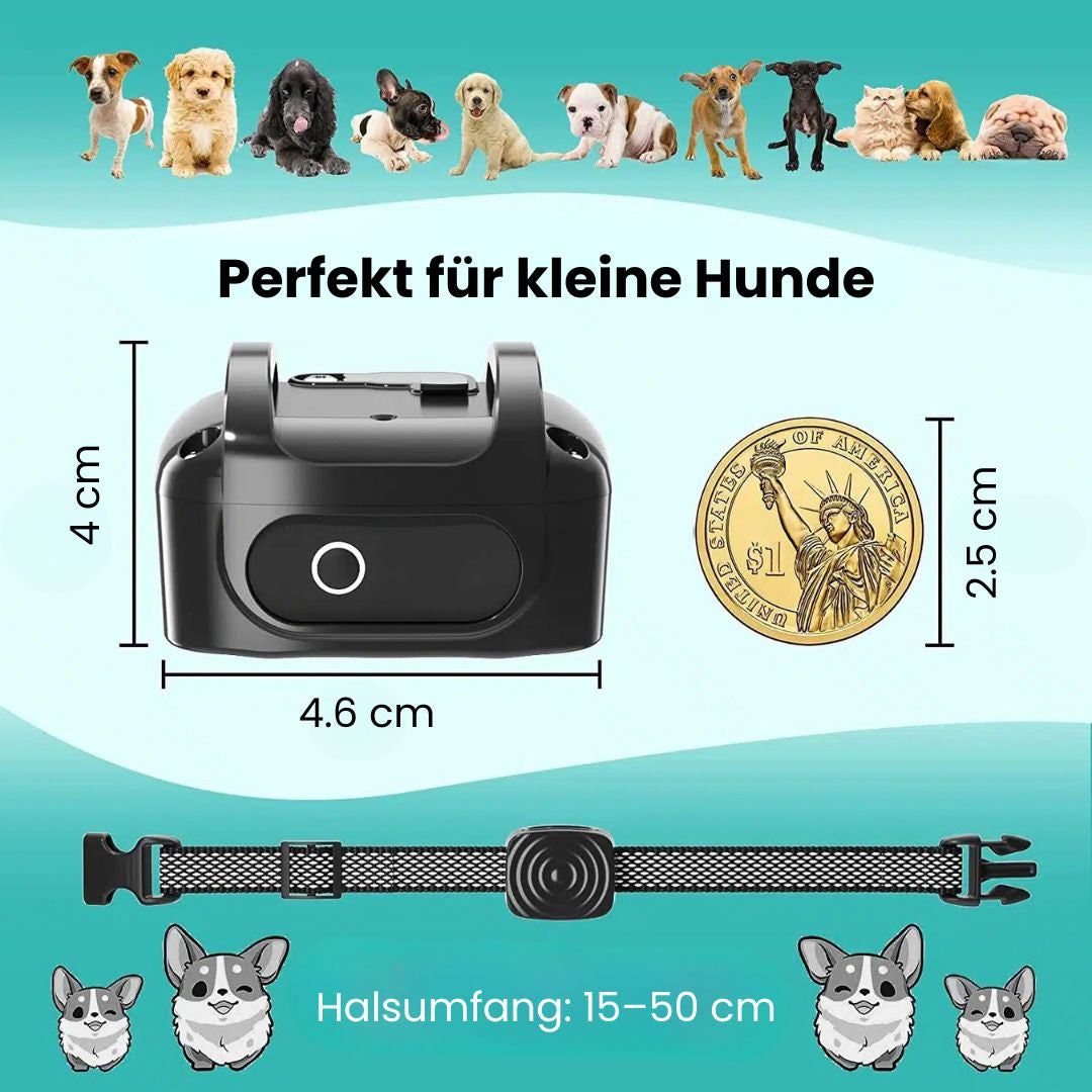 Hundebellhalsband | Anti Bell Halsband für Hunde | BellFrei