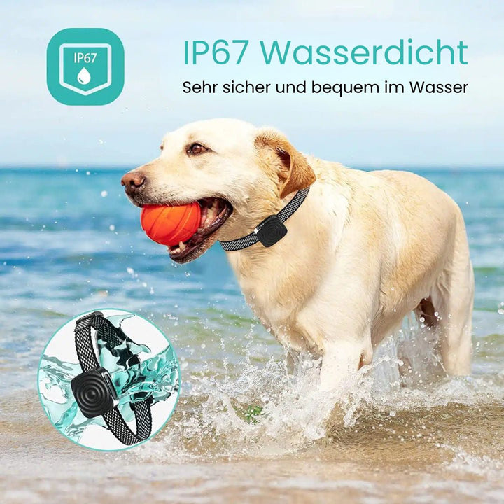 Hundebellhalsband | Anti Bell Halsband für Hunde | BellFrei