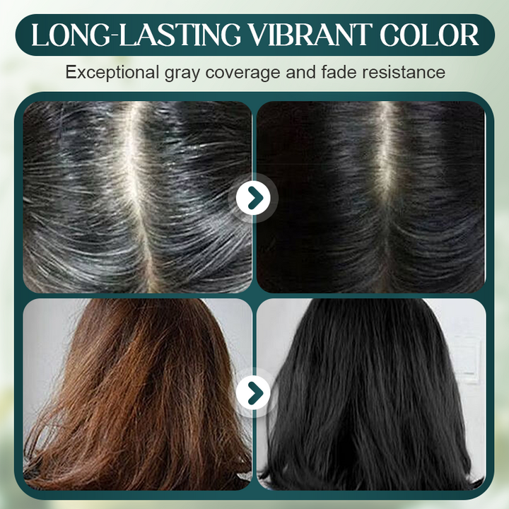 BotaniDye™ – Schwarze Haarfarbe, ammoniakfrei, pflanzenbasiert & grauabdeckend intensiv (160 ml) [1 + 1 Gratis]