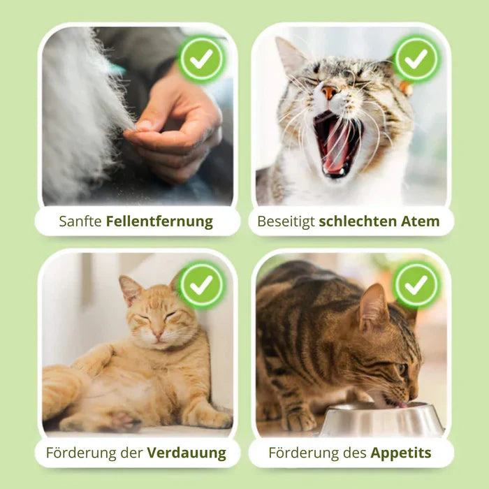 1+1 GRATIS HEUTE | WhiskerWonder™ | Gesunde Kauspielzeuge für eine glückliche, haarballenfreie Katze!