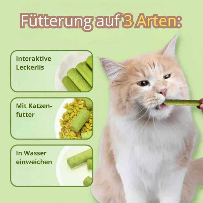 1+1 GRATIS HEUTE | WhiskerWonder™ | Gesunde Kauspielzeuge für eine glückliche, haarballenfreie Katze!