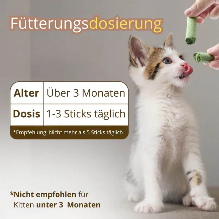 1+1 GRATIS HEUTE | WhiskerWonder™ | Gesunde Kauspielzeuge für eine glückliche, haarballenfreie Katze!