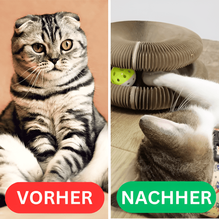 CatTwist™ – Interaktiver Kratzplatz gegen Langeweile bei Katzen