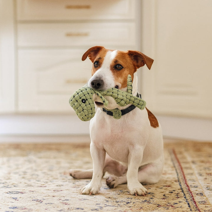 Hundespielzeug | Unzerstörbares Spielzeug für Hunde | KauDino