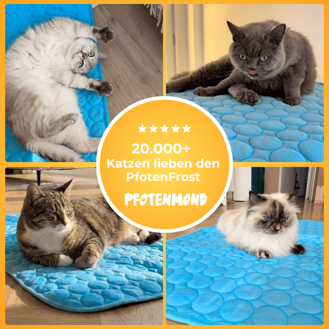 PfotenFrost™ Kühlende Pfotenpflege für Hunde