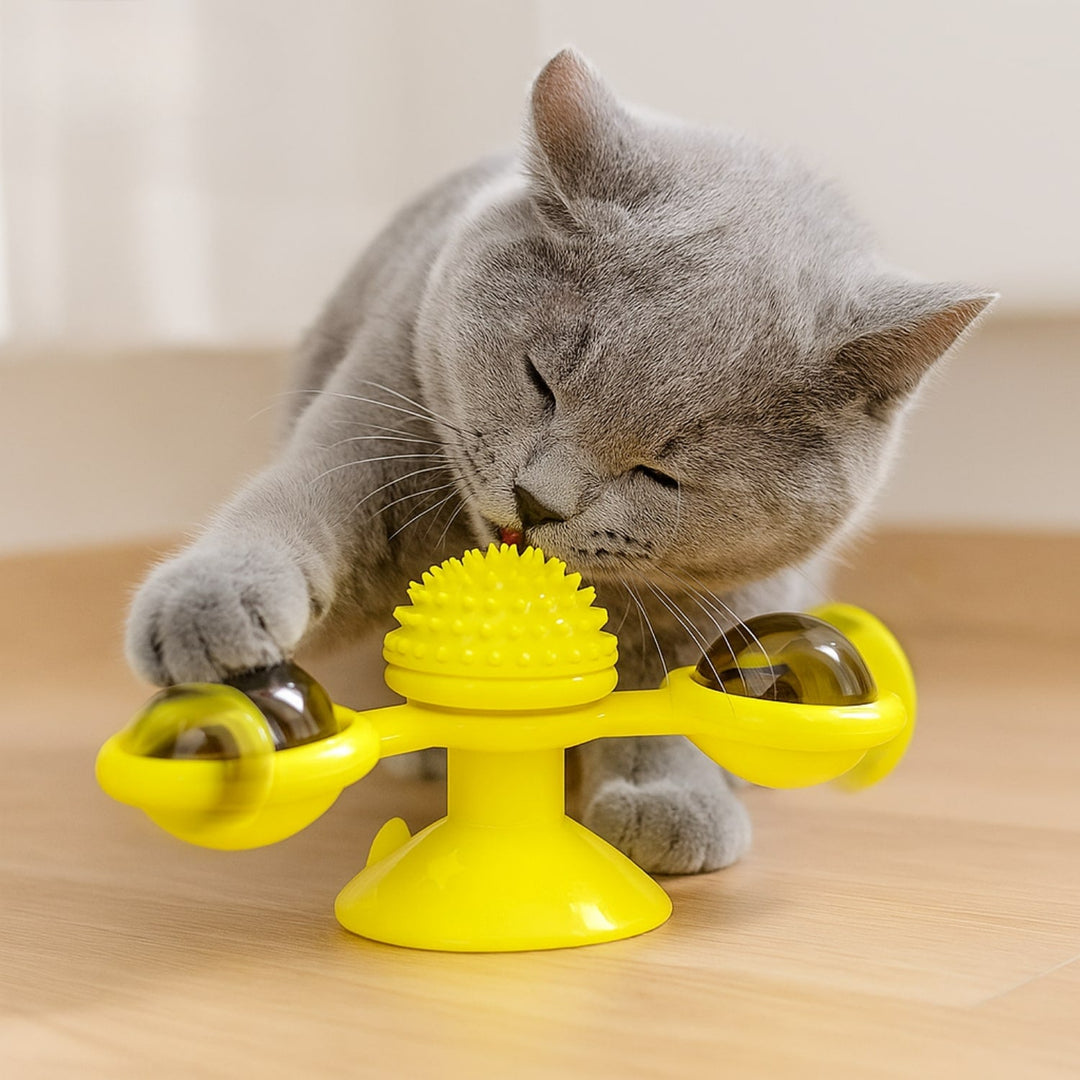 Katzenspielzeug | Interaktives Katzenspielsachen mit Katzenminze | MiauwSpiel