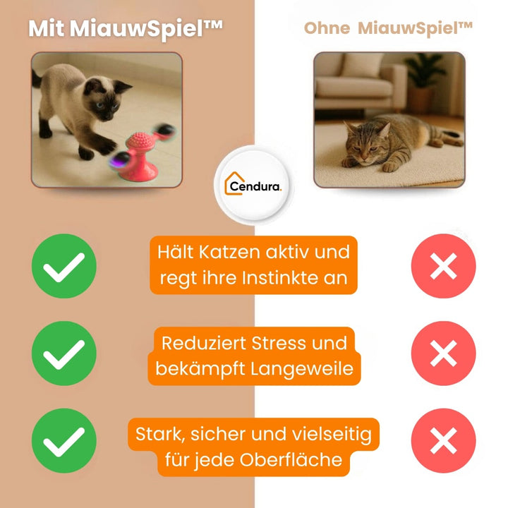 Katzenspielzeug | Interaktives Katzenspielsachen mit Katzenminze | MiauwSpiel