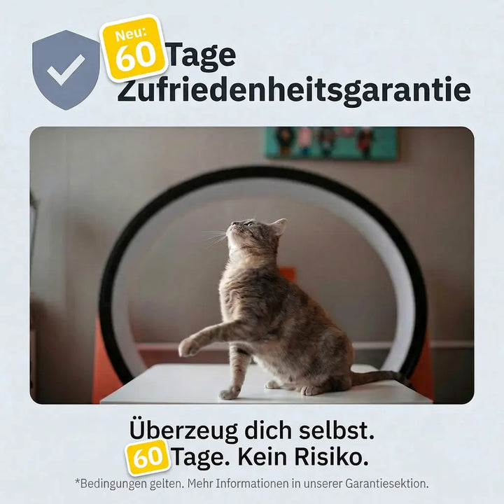 Calmora™ – Beruhigungsdiffusor für stressfreie, ausgeglichene Katzen