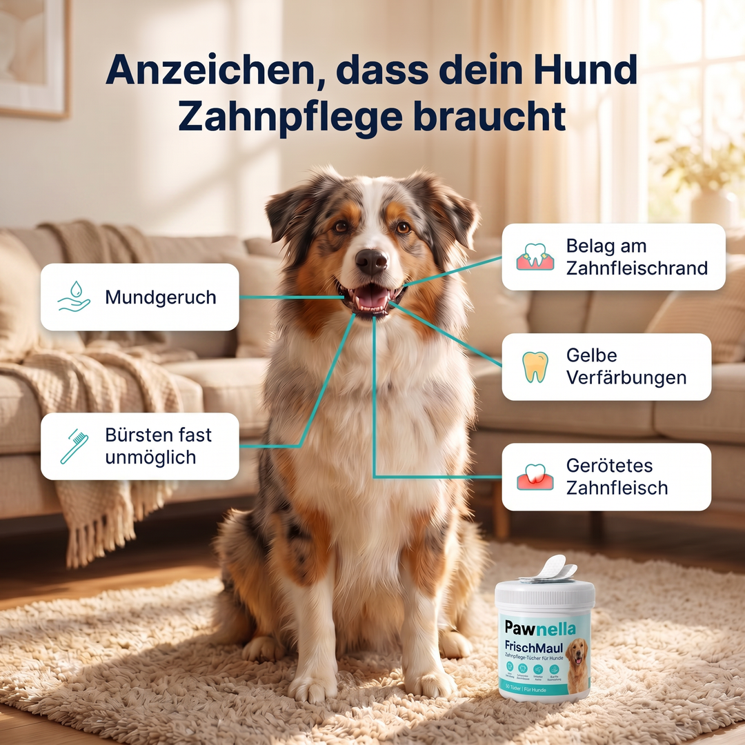 MaulFrisch™ Zahn- & Mundpflege für Hunde