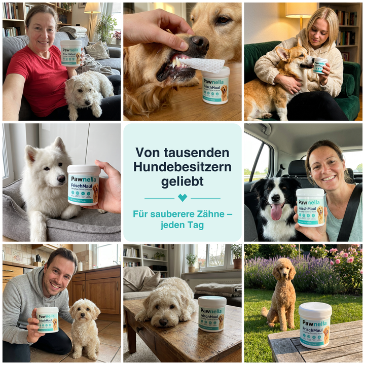 MaulFrisch™ Zahn- & Mundpflege für Hunde