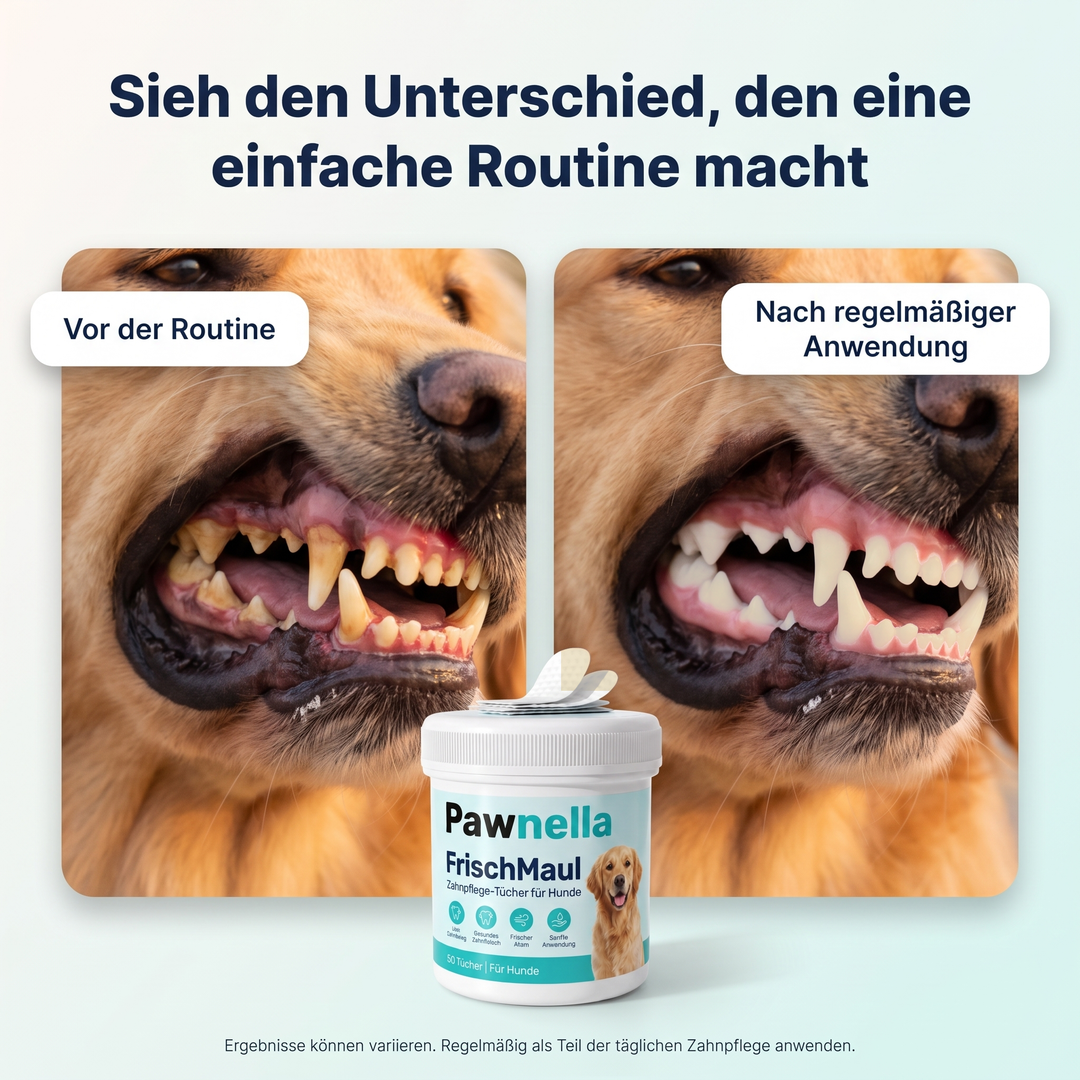 MaulFrisch™ Zahn- & Mundpflege für Hunde