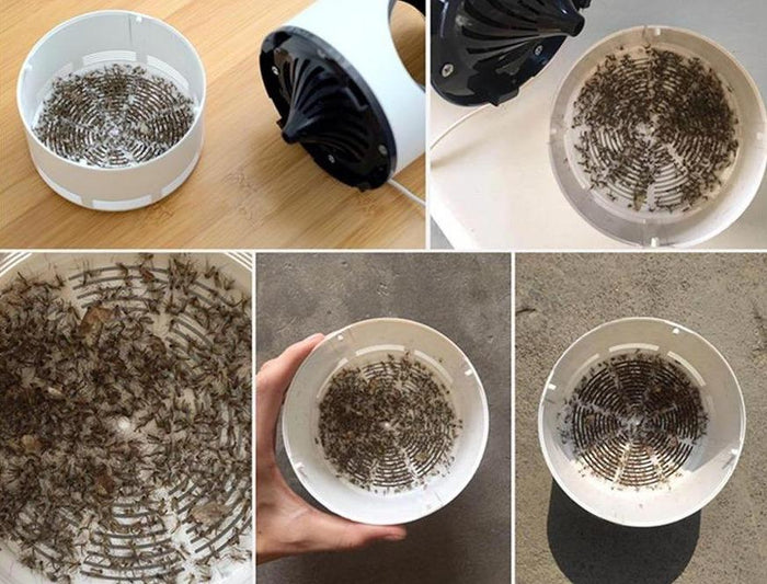 Elektrische Mückenkiller Lampe | UV-Licht  | Geräuschlos & Sicher | Für Innen & Außen