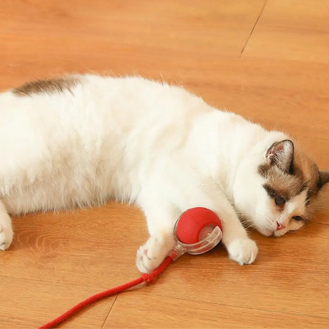 KittyTwirl™ | Interaktiver Spielball mit Schwanz für Katzen