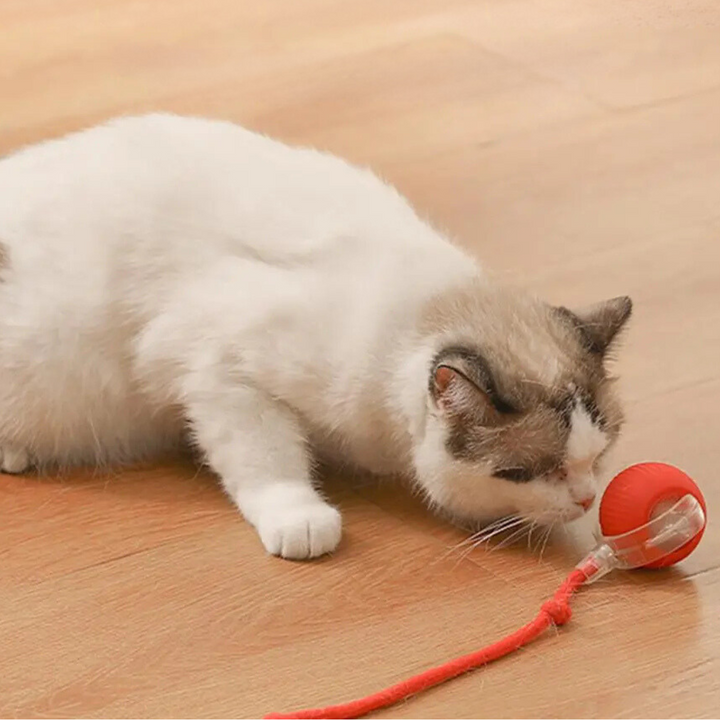 KittyTwirl™ | Interaktiver Spielball mit Schwanz für Katzen