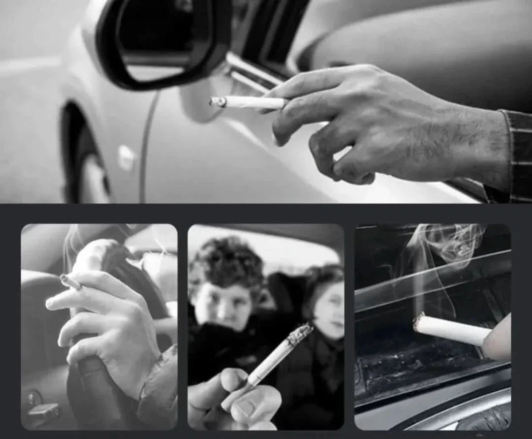 AutoAsh™ - Smarte Erkennung Touch