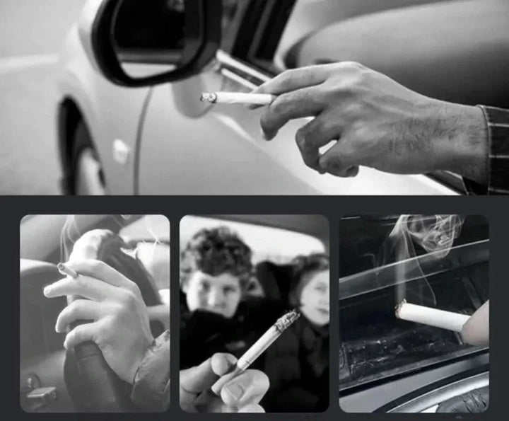 AutoAsh™ - Smarte Erkennung Touch