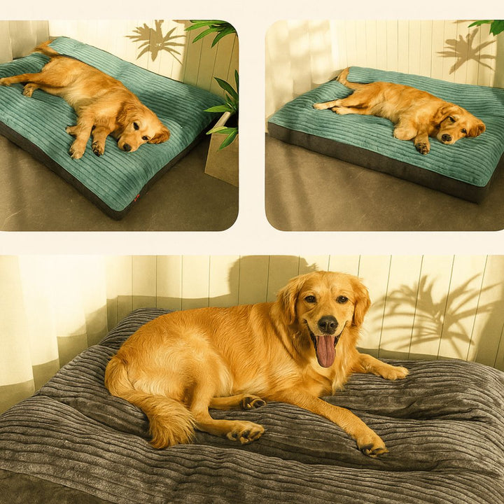 Orthopädisches Hundebett für Große & Kleine Hunde | Hundekissen Waschbar | WuffNest