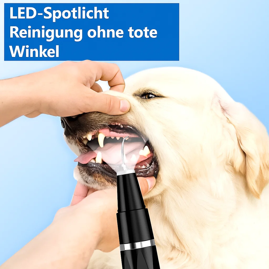Zahnstein entfernen bei Hund & Katze | Haustier Zahnpflege | Zahnreiniger | PlaqueFrei