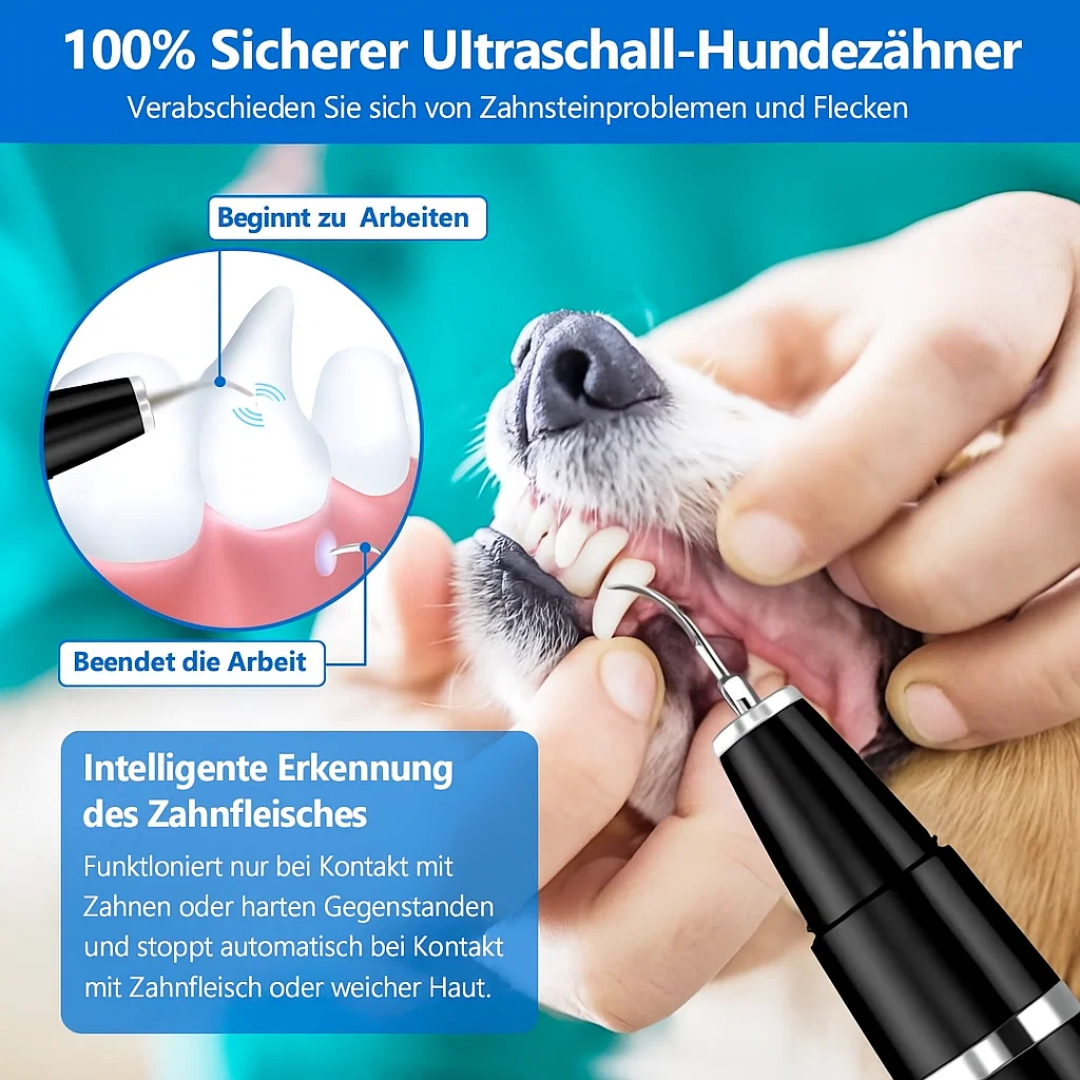 Zahnstein entfernen bei Hund & Katze | Haustier Zahnpflege | Zahnreiniger | PlaqueFrei